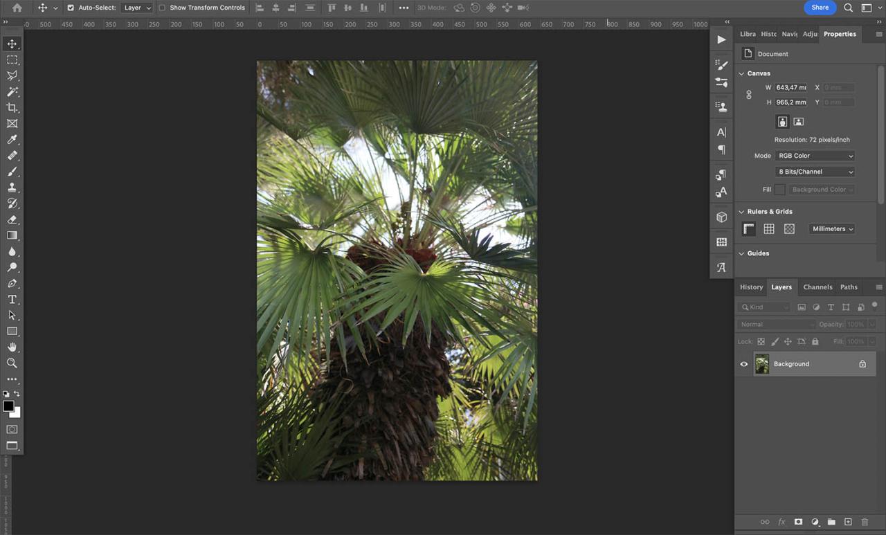 How to mirror an image in Photoshop